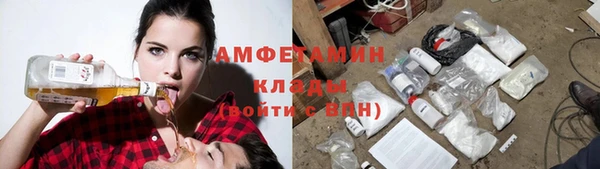 мдпв Новозыбков