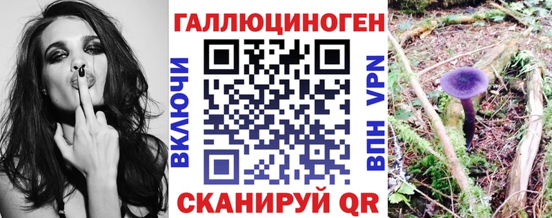 хочу наркоту  Зеленодольск  Псилоцибиновые грибы Psilocybe 