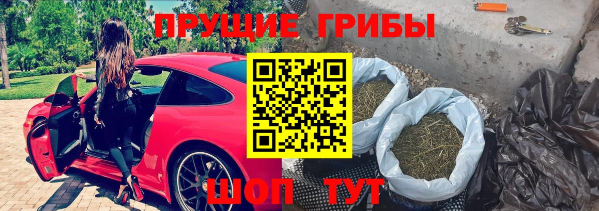 Псилоцибиновые грибы Psilocybine cubensis Зеленодольск