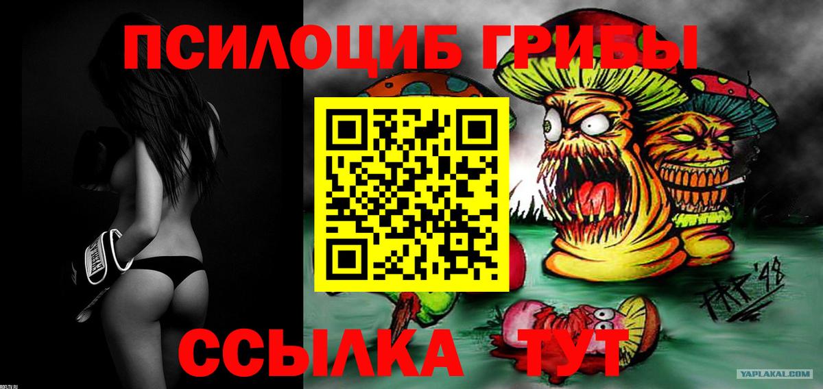 Псилоцибиновые грибы GOLDEN TEACHER  Зеленодольск  Псилоцибиновые грибы Cubensis 