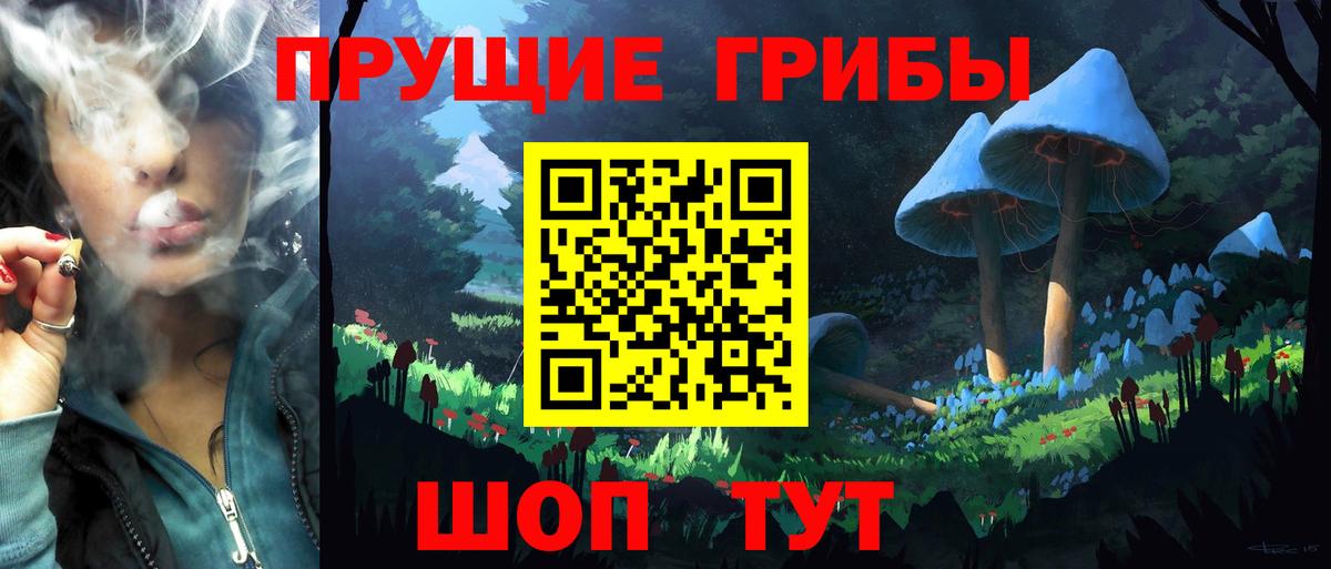 Зеленодольск  Псилоцибиновые грибы Psilocybine cubensis  цена   Вход с VPN 